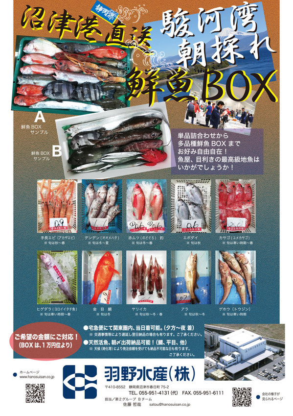 鮮魚BOX.jpg